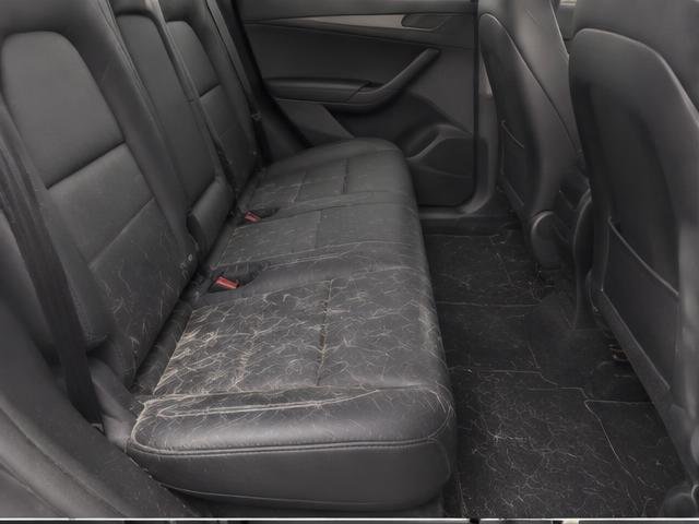 Tesla Model Y before Pet hair removal